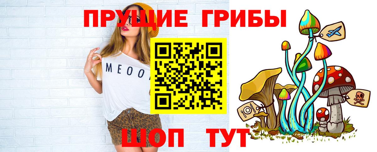 Псилоцибиновые грибы GOLDEN TEACHER  Галлюциногенные грибы Psilocybine cubensis  Горно-Алтайск  Вход с VPN 